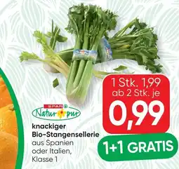 SPAR Gourmet knackiger Bio-Stangensellerie Angebot