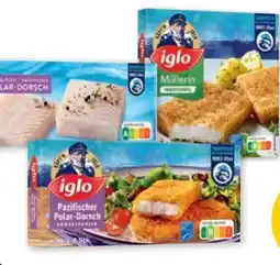 PENNY Iglo Polardorsch Angebot