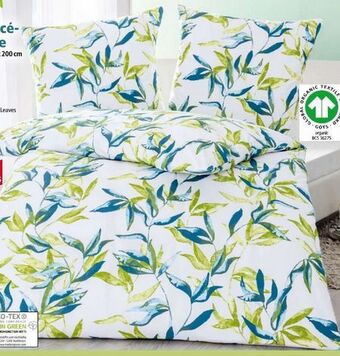 Norma Edel-Renforce Bettwäsche Angebot