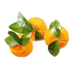 Lidl Clementinen mit Blatt Lidl Angebot