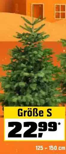 OBI Größe S Angebot