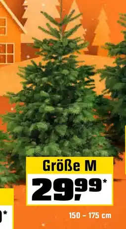 OBI Größe M Angebot