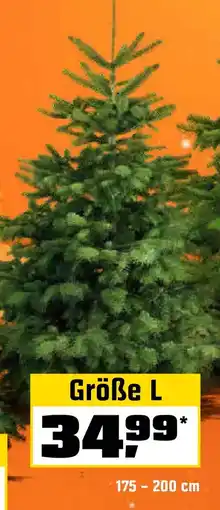 OBI Größe L Angebot