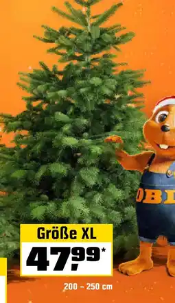 OBI Größe XL Angebot