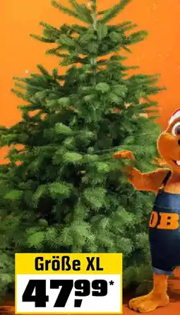 OBI Größe XL Angebot