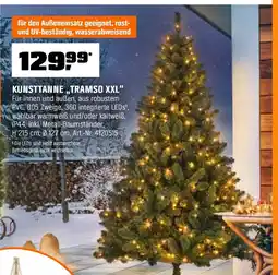 OBI Kunsttanne tramso xxl Angebot