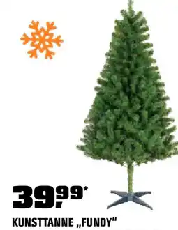 OBI Kunsttanne fundy Angebot