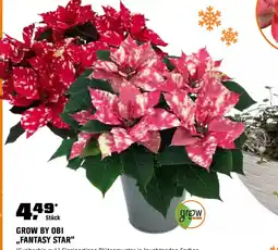 OBI Grow by obi fantasy star Angebot