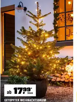 OBI Getopfter weihnachtsbaum Angebot