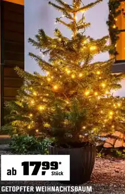 OBI Getopfter weihnachtsbaum Angebot