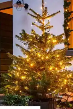 OBI getopfter weihnachtsbaum Angebot