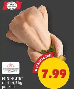 PENNY Mini-pute Angebot