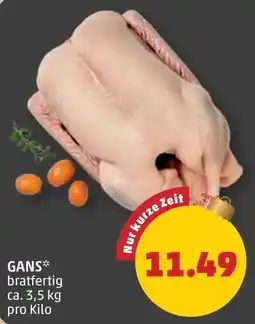 PENNY Gans Angebot