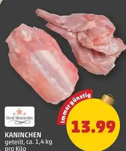 PENNY Kaninchen Angebot