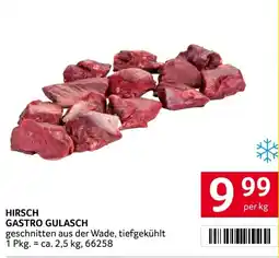 Transgourmet Gastro gulasch Angebot