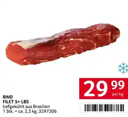 Transgourmet Rind filet 5+ lbs Angebot