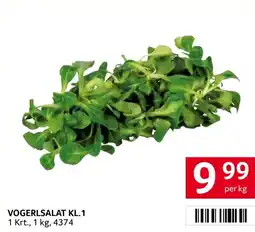 Transgourmet Vogerlsalat Angebot