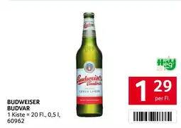 Transgourmet Budweiser budvar Angebot