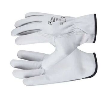 Zgonc Handschuhe Driver Angebot