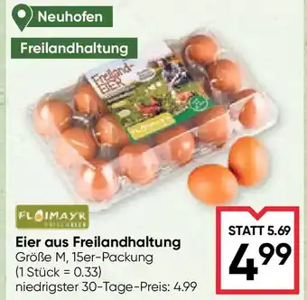 Maximarkt Eier aus Freilandhaltung Angebot