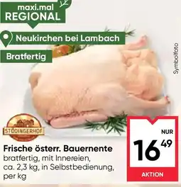 Maximarkt Frische Österr. Bauernente Angebot