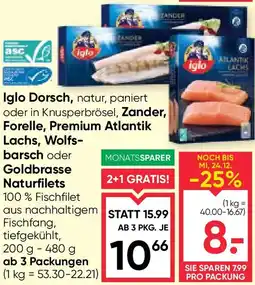 Maximarkt Iglo Dorsch Angebot