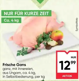 Maximarkt Frische Gans Angebot