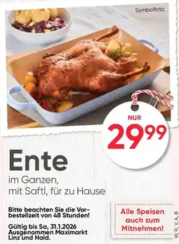 Maximarkt Ente im Ganzen Angebot