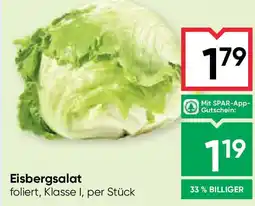 Maximarkt Eisbergsalat Angebot