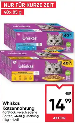 Maximarkt Whiskas Katzennahrung Angebot