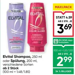 Maximarkt Elvital Shampoo oder Spülung Angebot