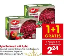 Interspar Iglo Rotkraut mit Apfel Angebot