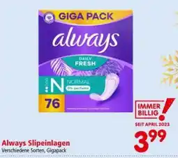 Interspar Always Slipeinlagen Angebot