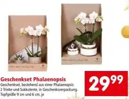 Interspar Geschenkset Phalaenopsis Angebot
