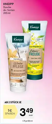 Bipa Kneipp dusche Angebot
