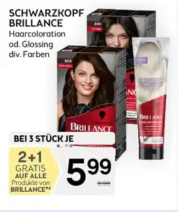 Bipa Schwarzkopf brillance Angebot