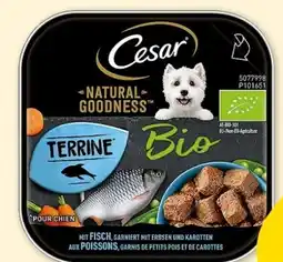 Fressnapf Cesar Bio Hundenahrung Terrine Angebot