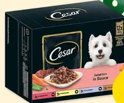 Fressnapf Cesar Hundenahrung Angebot