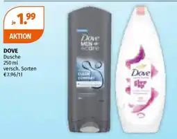 Müller DOVE Dusche Angebot