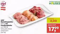 ADEG efef Racletteplatte Fondueplatte Angebot