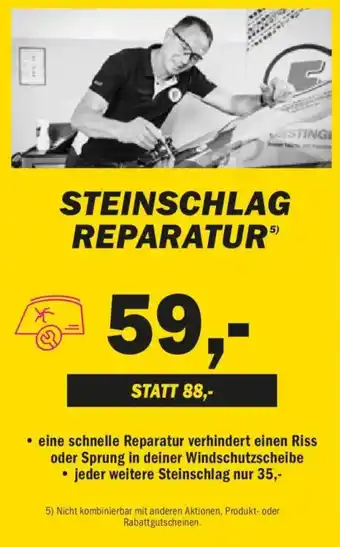 Forstinger Steinschlag reparatur Angebot