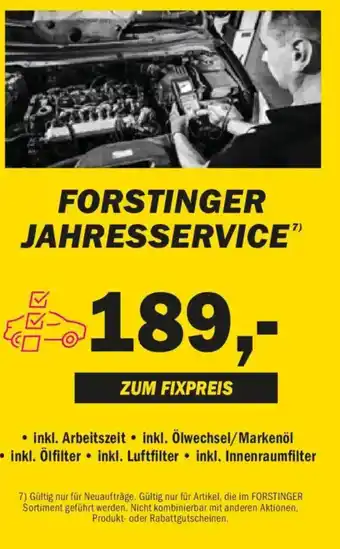 Forstinger Inkl. arbeitszeit , inkl. ölwechsel/markenöl, inkl. ölfilter inkl. luftfilter inkl. innenraumfilter Angebot
