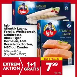 Billa Iglo atlantik lachs, forelle, wolfsbarsch, goldbrasse, black tiger garnelen, asc, dorsch div. sorten, MSC od. Zander Angebot