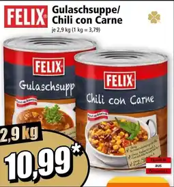 Norma Gulaschsuppe/ Chili con Carne Angebot