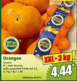 Norma Orangen Angebot