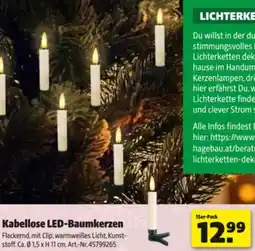 Hagebau Kabellose LED-Baumkerzen Angebot
