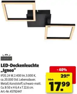 Hagebau LED-Deckenleuchte „Igneo" Angebot