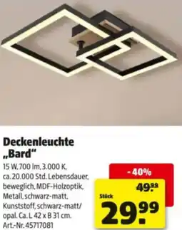 Hagebau Deckenleuchte „Bard" Angebot