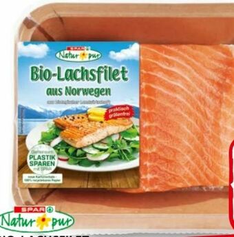 SPAR Gourmet Bio-Lachsfilet Angebot