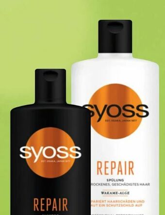 Spar Shampoo Angebot